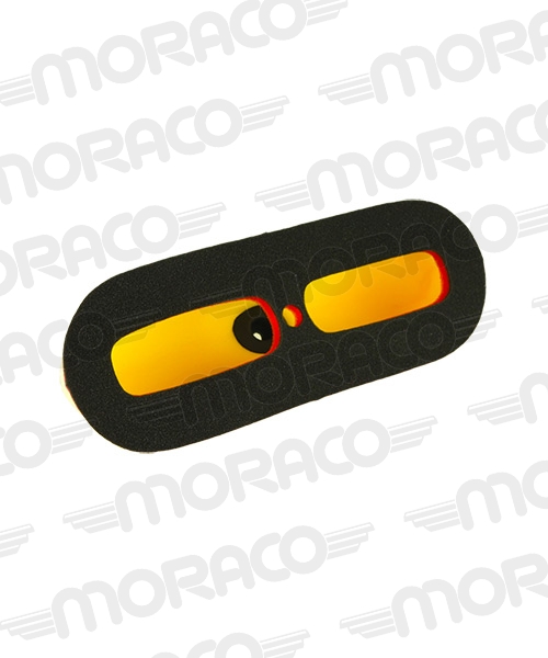 Filtre à air DT-1 double mousse