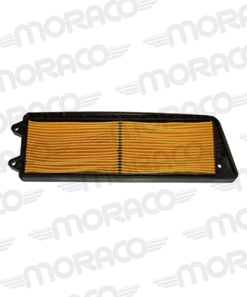 Filtre à air HIFLO HFA3101